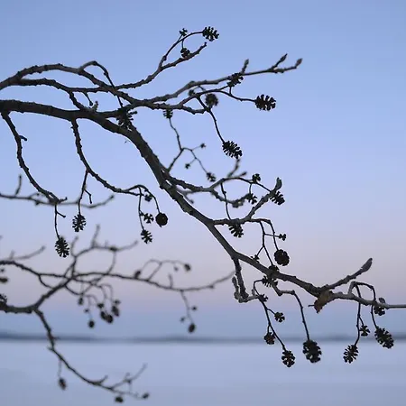 Loikansaari Lomamoekit Resort