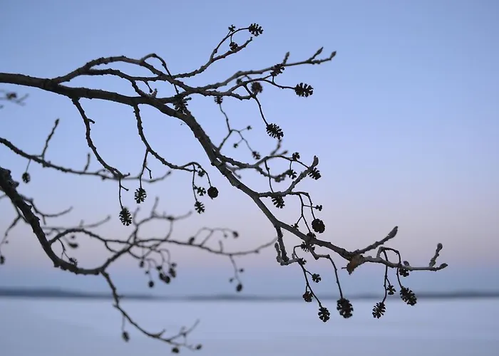 Loikansaari Lomamoekit منتجع